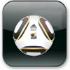 World Cup 2010 - FotMob icon
