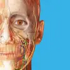 Human Anatomy Atlas 2021: Complete 3D Human Body icon