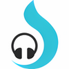 Torch Music icon