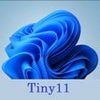 Tiny11 icon