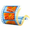 Windows Movie Maker icon