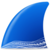 Wireshark icon